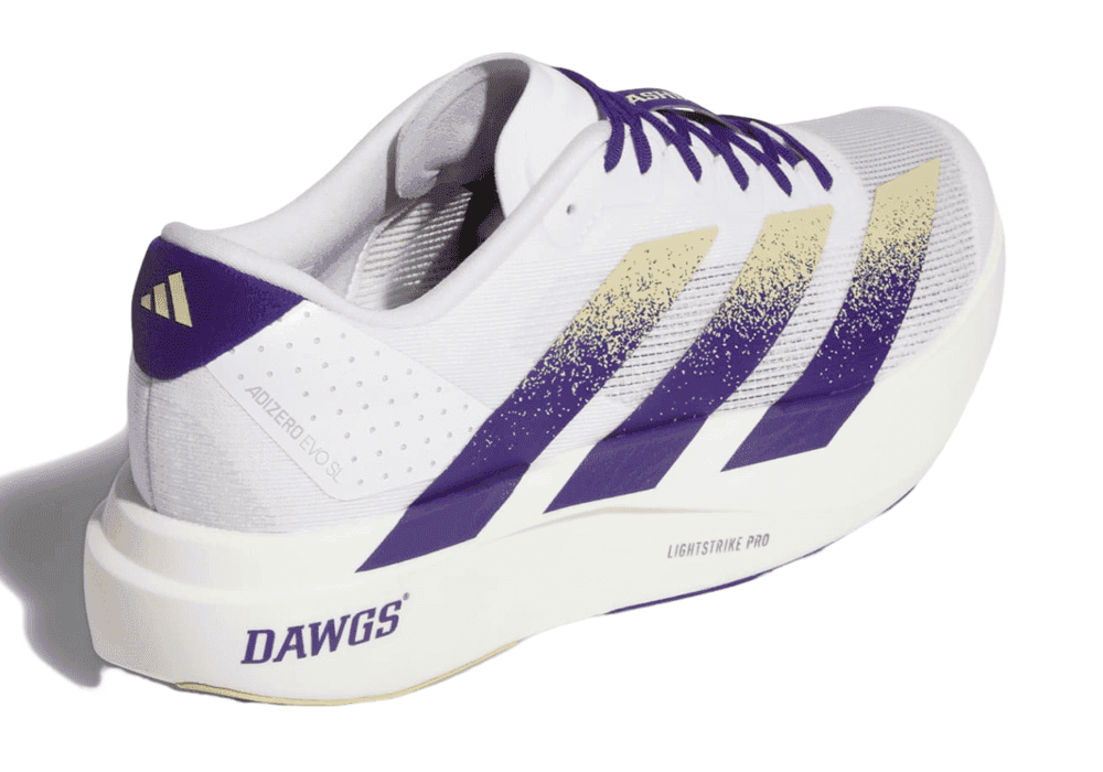 Adidas M Washington Huskies adizero Evo SL WhitePurpleGold | 44 — view 5
