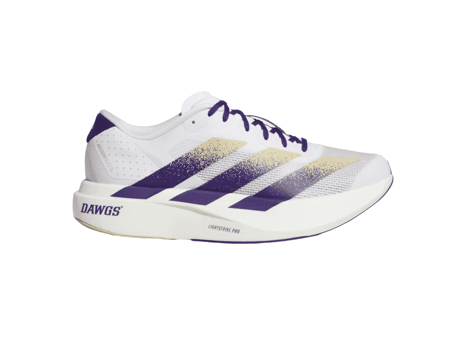 Adidas M Washington Huskies adizero Evo SL WhitePurpleGold | 44